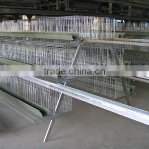 A Type Automatic Chicken Layer Cage for Sale 100 Chickens Coop thumbnail-2