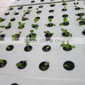 High Quality Lower Energy Plastic Water Trays Flow Rolling Bench for Growing thumbnail-5