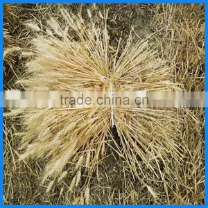 2017 Hot Sale Mini Reaper Binder-combine Harvester thumbnail-6