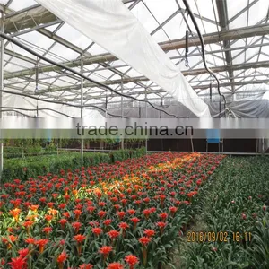 Large Tunnel Galvanized Agricultural Greenhouse for Green Vegetables thumbnail-2