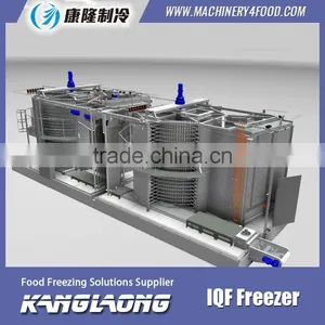 2000Kg/H Spiral IQF Freezer 1000 Made In China thumbnail-2