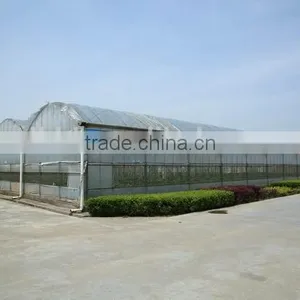 Plastic Film Tunnel Greenhouse thumbnail-5