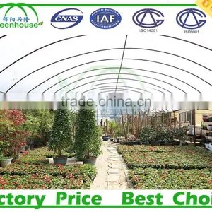 Plastic Film Greenhouse Tunnel for Sale thumbnail-1