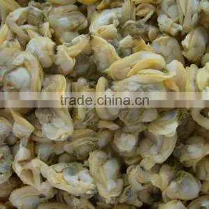 Baby Clam Meat thumbnail-5