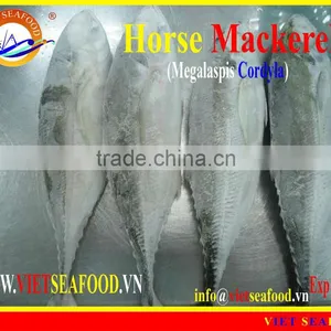 FROZEN HORSE MACKEREL W/R thumbnail-1