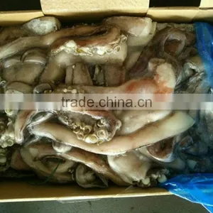 Frozen Giant Squid Peru Size 2kg Tentacles thumbnail-4