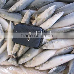 Frozen Seafood (W/R Pacific Mackerel) thumbnail-1