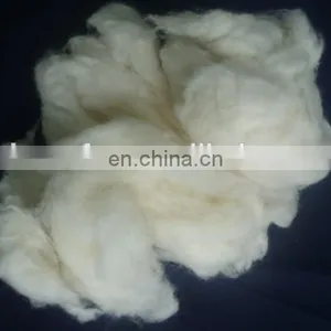 Carded and Dehaired Raccoon Hair for Spinning thumbnail-3