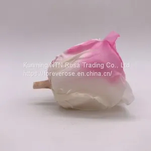 Preserved Rose Preserved Flowers Dried Flowers Birthday Valentine Party Wedding thumbnail-2