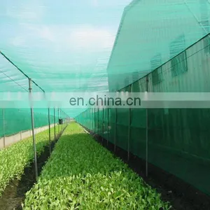 Anti Insect Net to Thailand, Insect Proof Net, Greenhouse Insect Net thumbnail-3