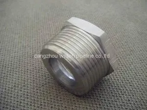 Stainless Steel Hex Head Bushing of Forged Pipe Fitting 3000 6000 thumbnail-1