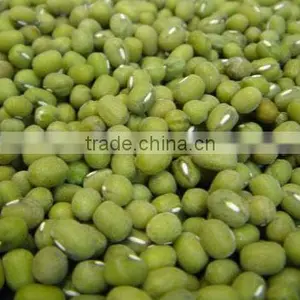 Yellow Mung Bean thumbnail-3