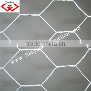 Chinahexagonal Wire Netting(anping Factory) thumbnail-1