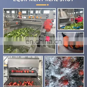 SUS 304/ 316 Commercial Vegetable Cleaning Dehydrating Processing Line With CE thumbnail-2