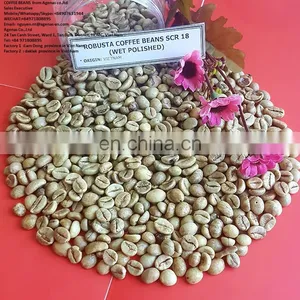 Robusta Green Coffee Bean for Sales Vietnam Origin thumbnail-1