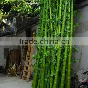 Natural Looking Artificial Outdoor Bamboo Tree Bamboo Plants Artificial Lucky Bamboo thumbnail-1