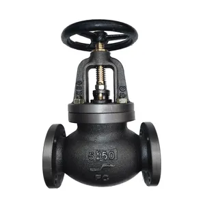 JIS 10k DN100 Flange Cast Iron/Ht200/Qt F7307 Straight Type Globe Valve Marine Valves for Sea Water thumbnail-2