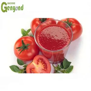 Shanghai Complete Tomato Concentration Paste Production Line thumbnail-1