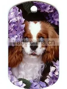 Low Price Custom Dog Tags Newly Designing Printing Dog Tag High Quality Screen Printing Dog Tag thumbnail-4