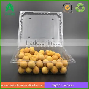 PET Plastic Type and Plastic Material Plastic Fruit Tray thumbnail-2