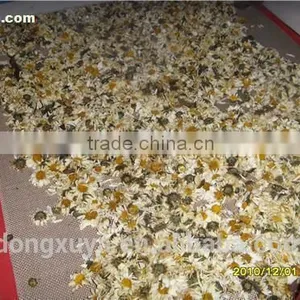 Microwave Sterilization Machine for Herbs thumbnail-6