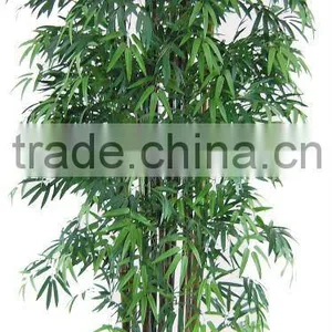 Artificial Bamboo Tree Indoor / Ourdoor Decoration thumbnail-1