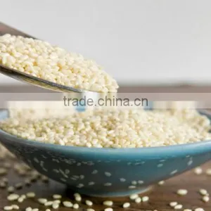 Sesame Seed Black P.e.| High Quality Black Sesame Seeds Powder Sesamin thumbnail-6