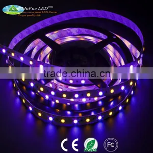 RGB+Amber DC12V 60LEDs RGBA 5050 LED Strip Light By Mufue thumbnail-5