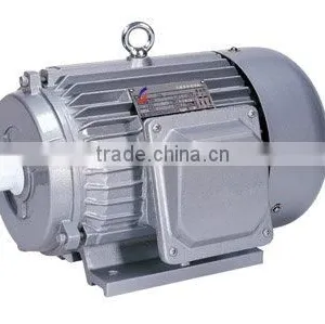 Y-SERIES ELCTRIC MOTOR thumbnail-1