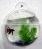 Acrylic Fish Aquarium / Wall Mount Acrylic Fish Tank thumbnail-1