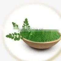 SPECIAL OFFER INDIAN MORINGA POWDER BULK thumbnail-3