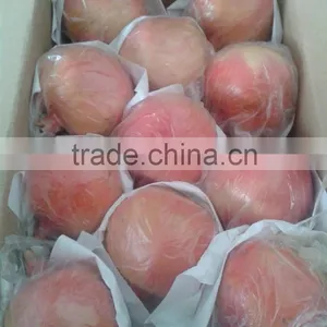 Fuji Apple thumbnail-1