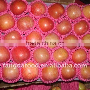 New Gala Apples thumbnail-1