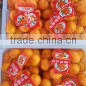 Chinese Fresh Citrus Orange Cheap Selling thumbnail-3