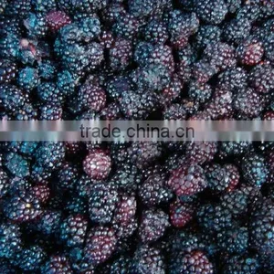 Bulk Frozen A Grade Blackberry Fruit thumbnail-2