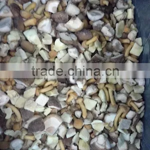 Export Bulk Package Dried Mushroom thumbnail-2