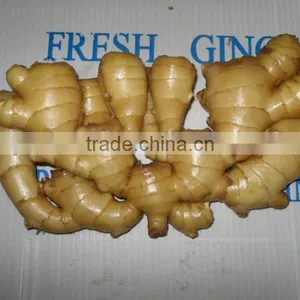 Fresh Dry Ginger thumbnail-1