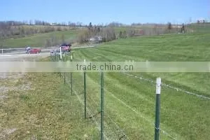 Y Star Fence Post Pickets thumbnail-2
