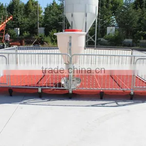 Poultry Feed Processing Equipment Stainless Steel Pigs Stall Nursery Crates thumbnail-4