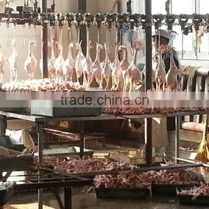 Automatic Poultry Slaughter House 500bph/1000bph/4000bph thumbnail-1