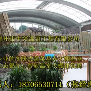 We Construct Vegetables Greenhouse More Professional thumbnail-3