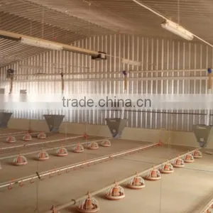 Poultry Farm Equipment for Raising Chickens on Ground thumbnail-3