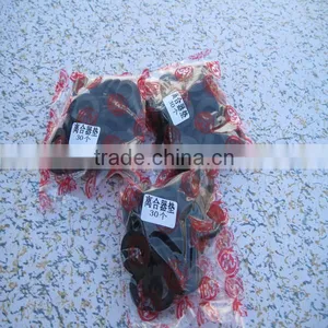 Newest Yongtai Diesel Engine Spare Parts Rubber Washer Auto Diesel Engine Rubber Washer 13ZD2A-02043 thumbnail-4