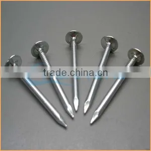 Top Quality Umbrella Head Twisted Roofing Nails Trusted Chuanghe Suppliers From Com thumbnail-1