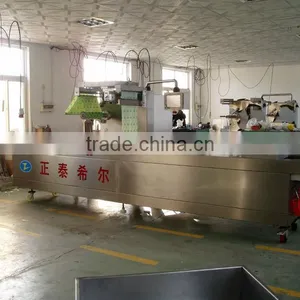 Rz 420 Automatic Continuous Vacuum Packaging Machine thumbnail-1