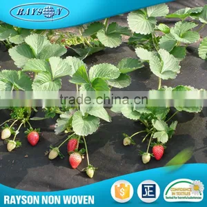 Hot Sale High Quality Black Plastic Agriculture Mulch Film thumbnail-2