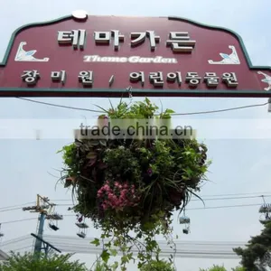 SOL 2015 Environment-friendly Hydroponics Plastic Flower Basket Hanging Flower Pots thumbnail-5