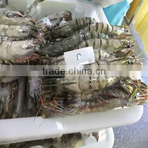 Frozen Sea Best Shrimp thumbnail-1
