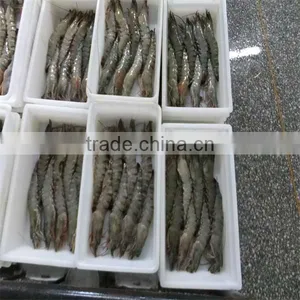 Seafood and How Cook Shrimp thumbnail-1