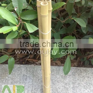 Decoration Short Tonkin Bamboo Cane/pole thumbnail-2